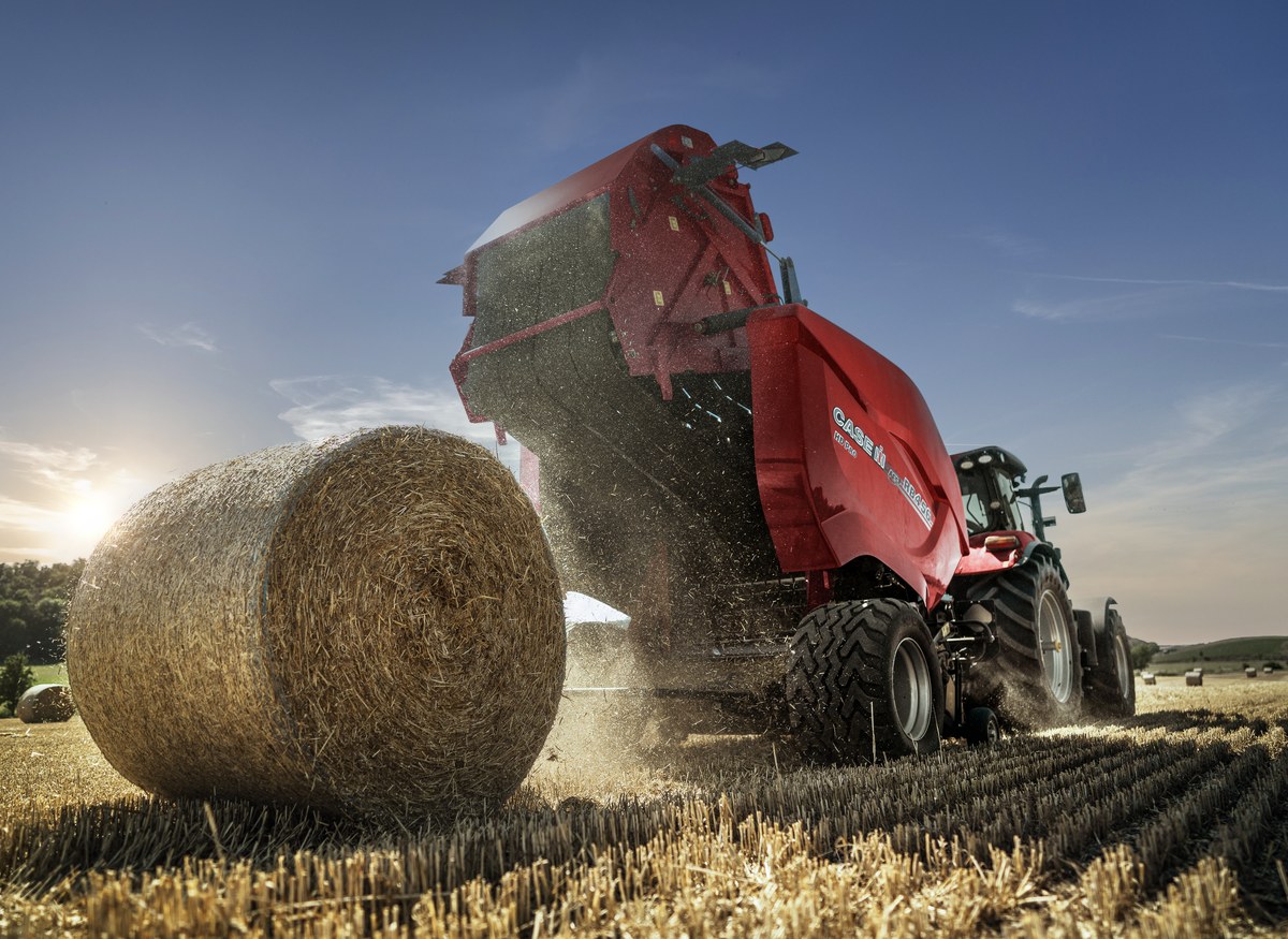 Hay & Forage